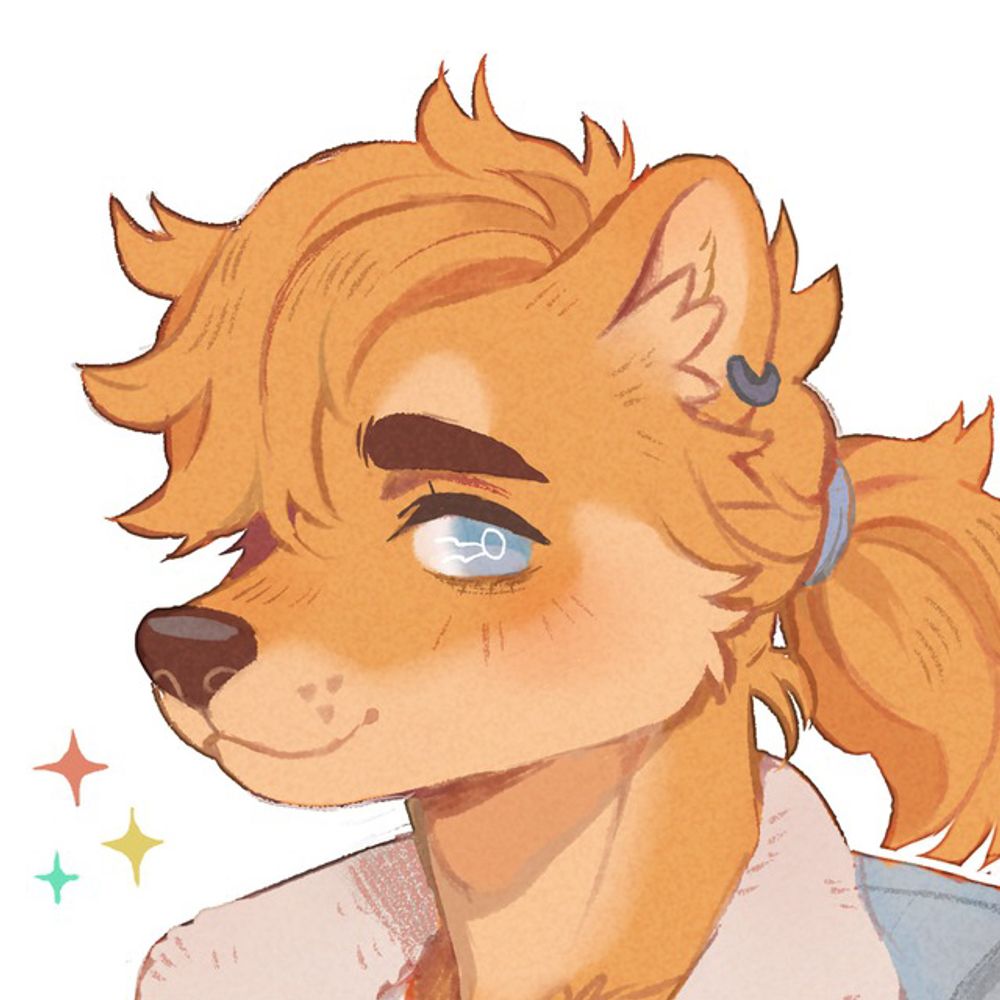 Meet This Dog